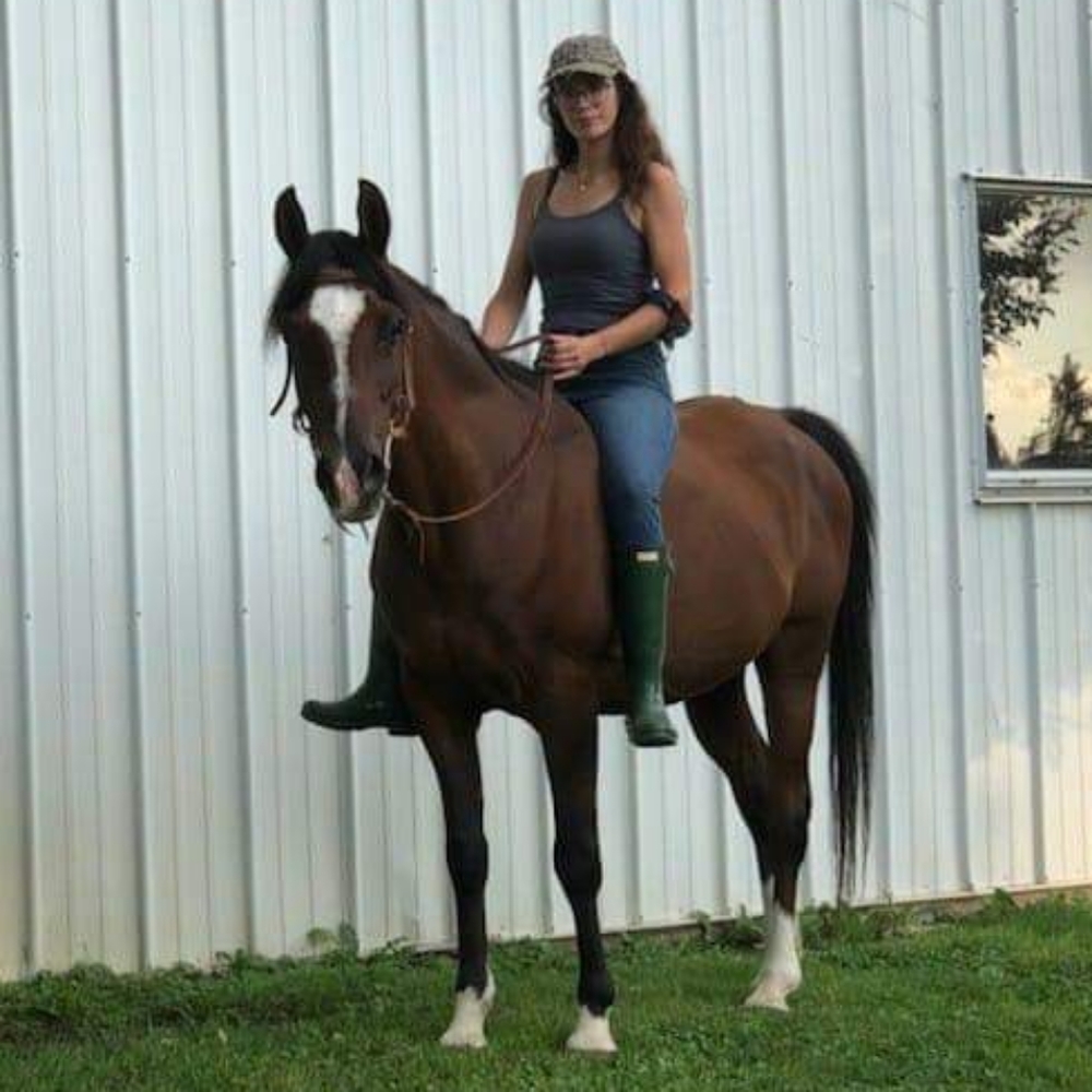 Welcome to the Tack Box!